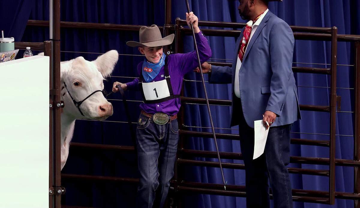 Caiman Cody of Tolar leads White Castle into the arena for the Fort Worth Stock Show and Rodeo Junior Sale of Champions on Saturday, Feb. 7, 2026. White Castle was bought by Trico Electric for a record-breaking $550,000.