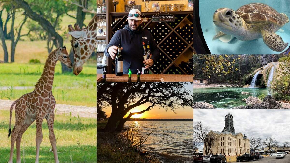 There are many options for fun day trips within a couple of hours of Fort Worth.