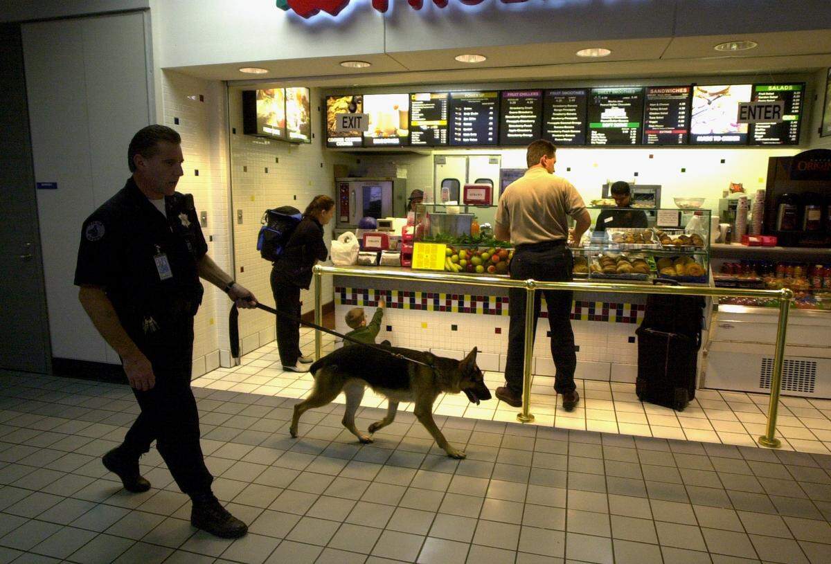 DFW officer Derek Goodley walks his explosive-­sniffing dog through Terminal A on Sept. 11.