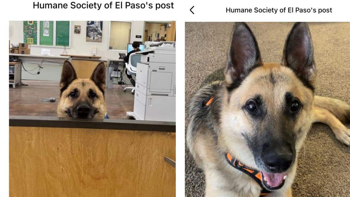 It’s really hard to resist a face like this