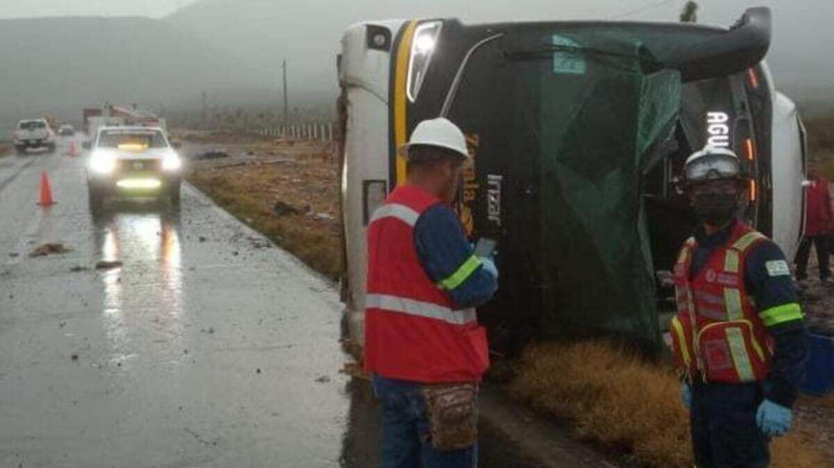 A bus carrying 41 passengers, 37 of which were from Texas, crashed early Monday morning in Concepción de Oro, Zacatecas, Mexico. Eight were killed and 35 were injured.