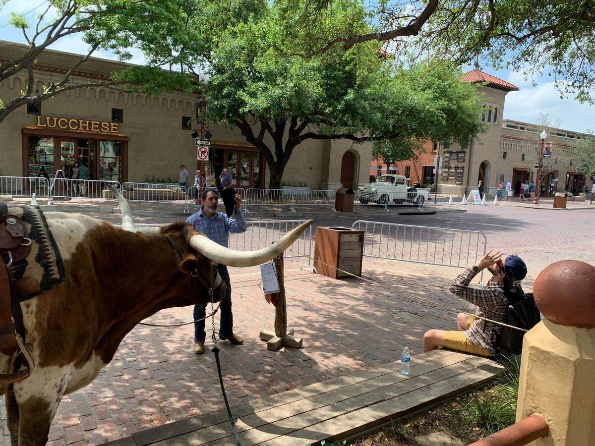 People in the Fort Worth Stockyards watch as the total eclipse nears on Monday, April 8, 2024.