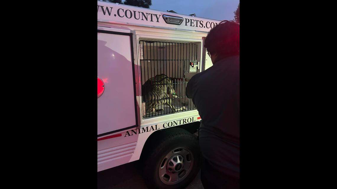 A dog attacked a 2-year-old in a stroller as the child’s mother tried to push it away, Texas cops say. Both were injured.