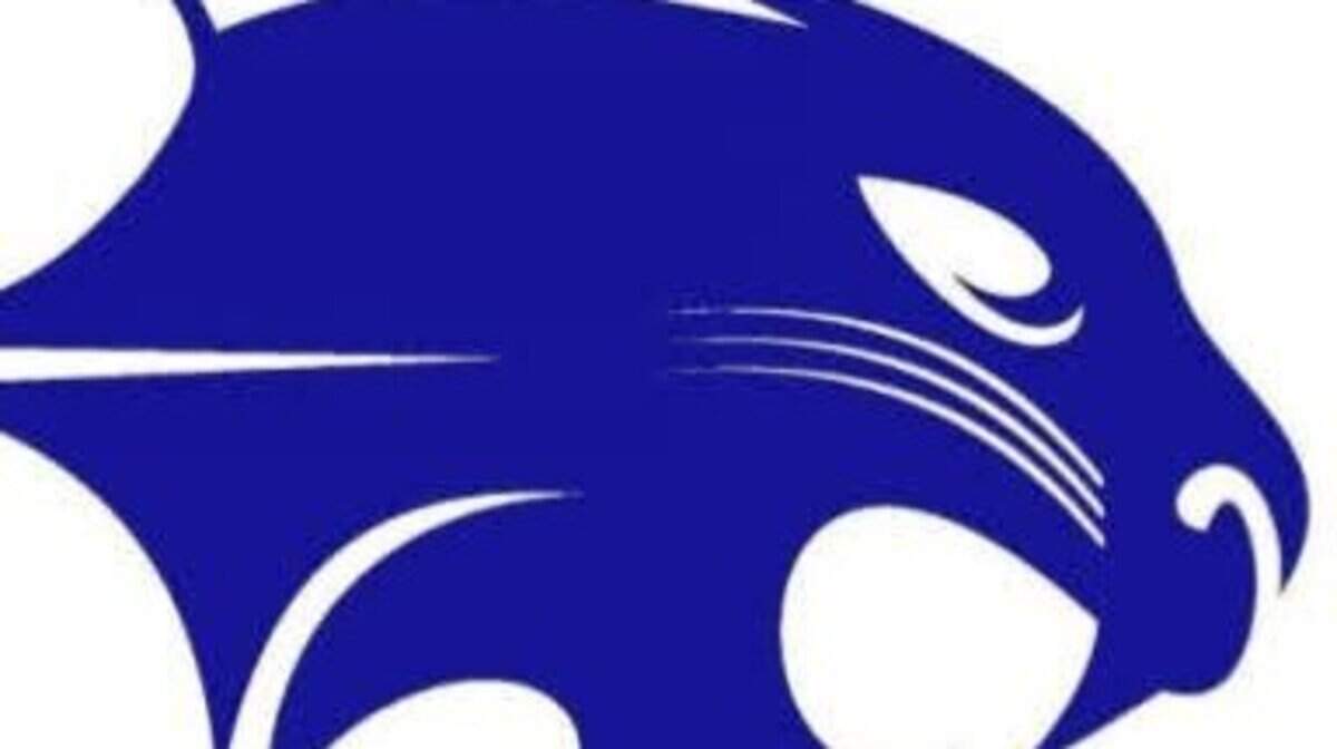 Byron Nelson Bobcats