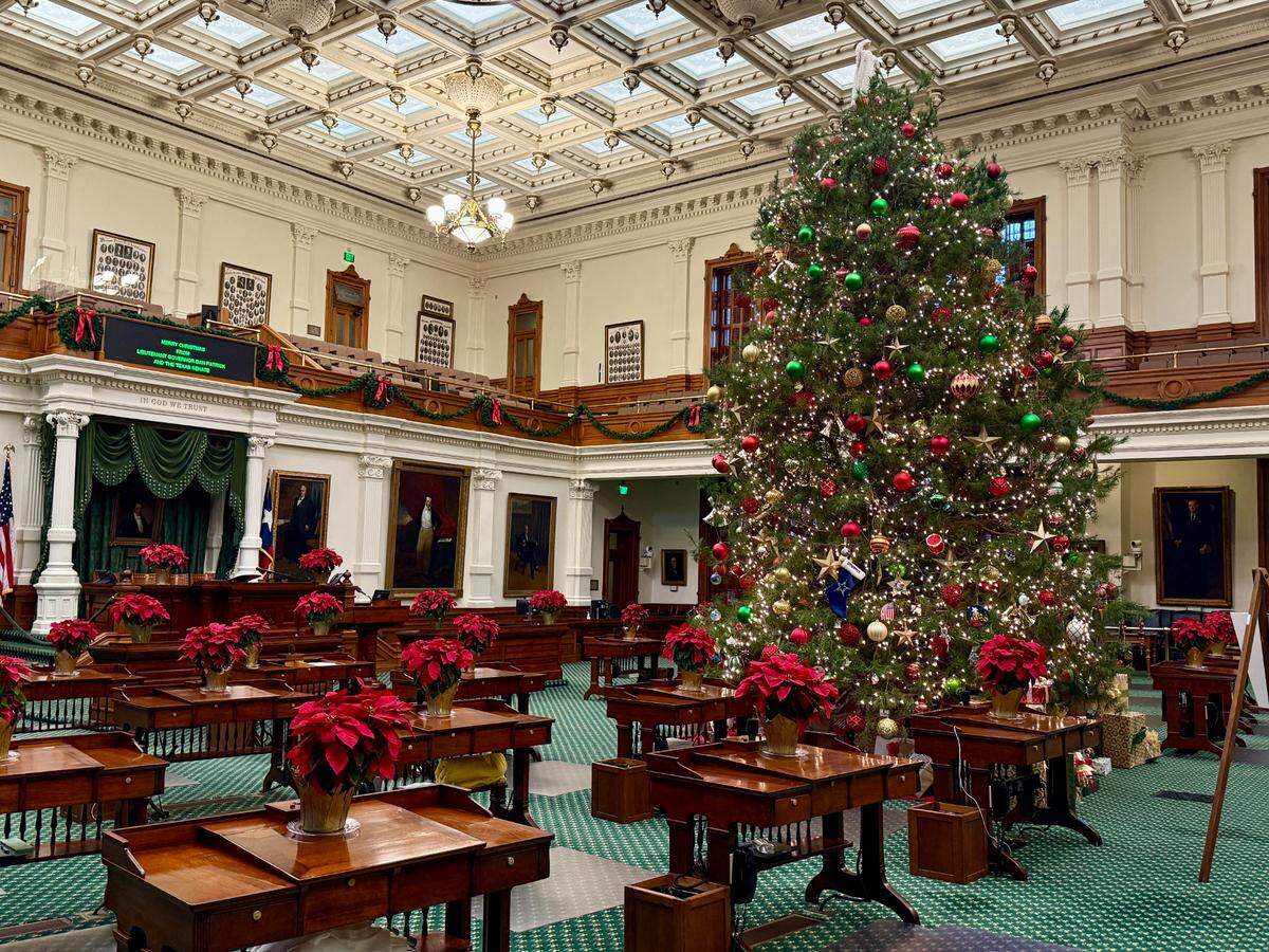 The Texas Senate Christmas tree is from Elves Christmas Tree Farm in Denison.