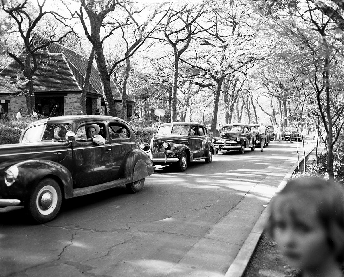 April 2, 1952: The largest crowd of the year turned out at Forest Park Zoo. Cars were bumper-to-bumper waiting to get into the parking lot off Forest Park Drive.