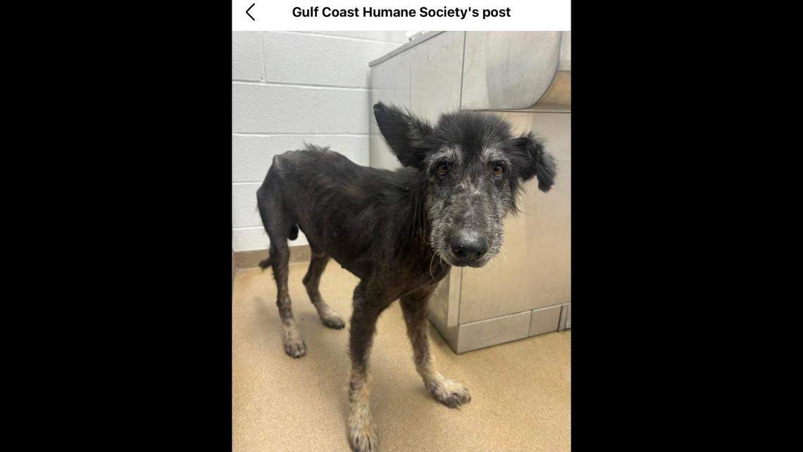 The kind-eyed Arthur