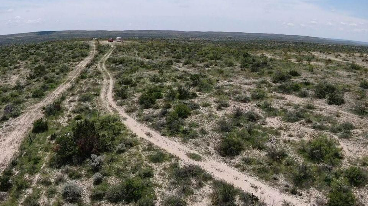 This 119-acre property in West Texas is selling for $118,783.