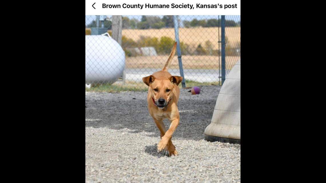 Millie is one happy girl.