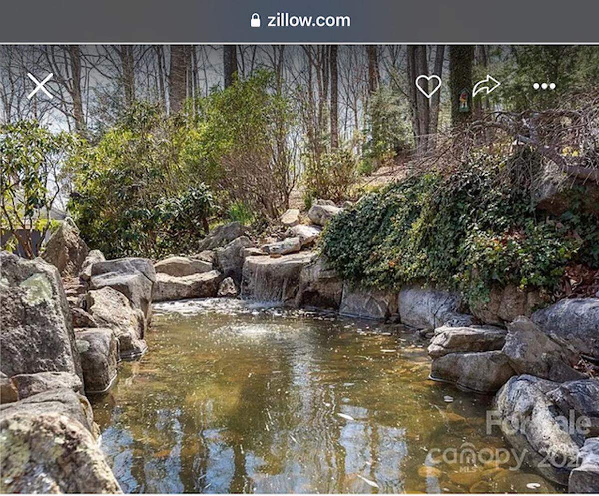 Pond