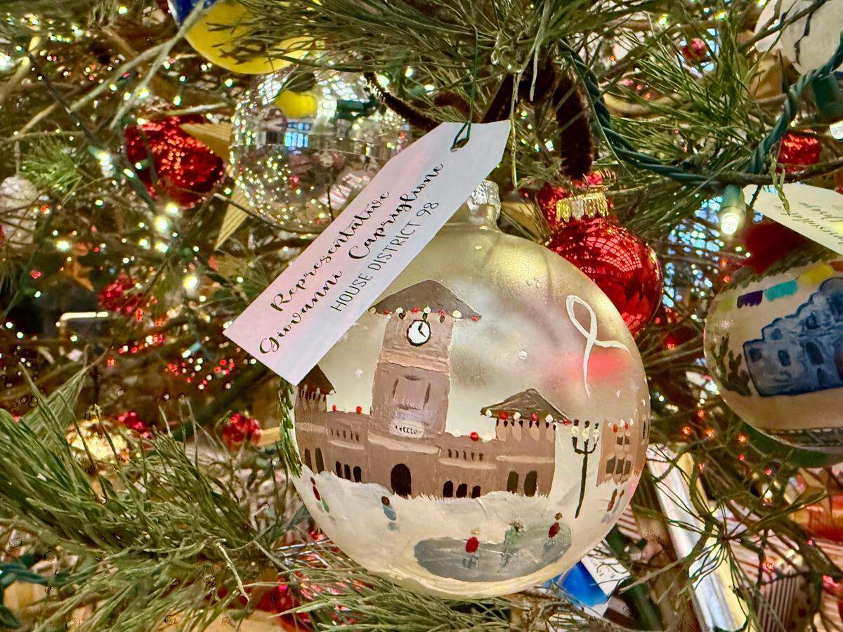 House District 98’s ornament was designed by Aubrey Schaub.