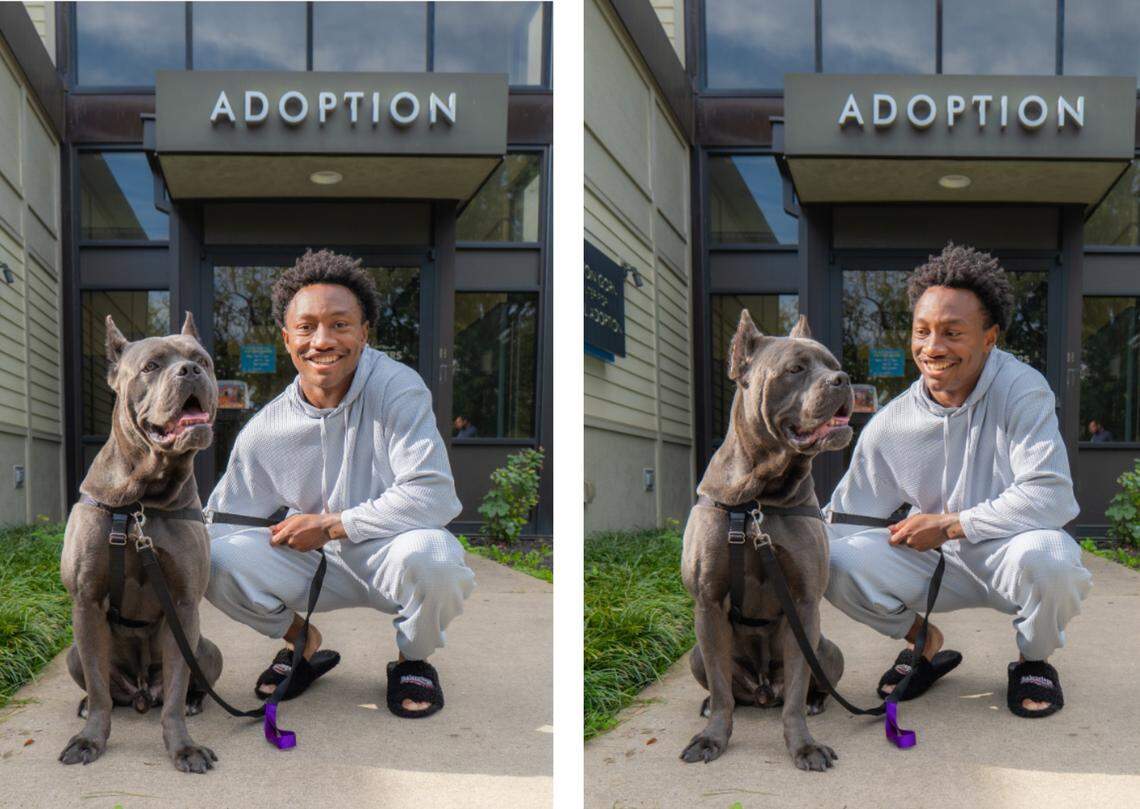 Football player Zay Flowers adopted Zeus the dog.