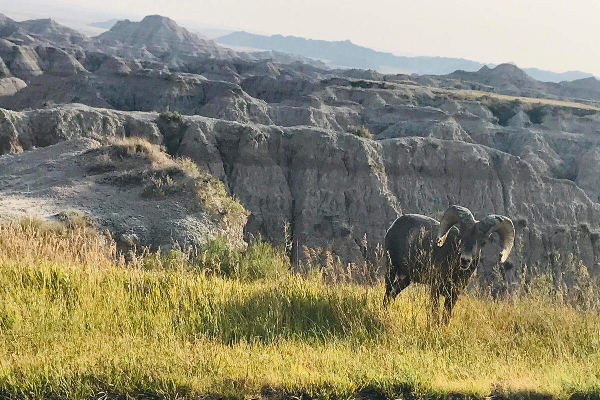 One of America’s most unique spots - Badlands National Park in South Dakota.