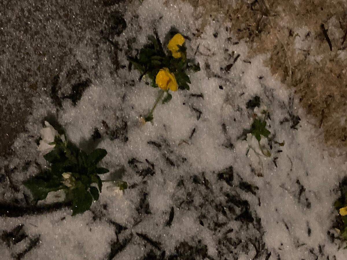 Ice covered much of Fort Worth late Wednesday as a winter storm swept into North Texas.
