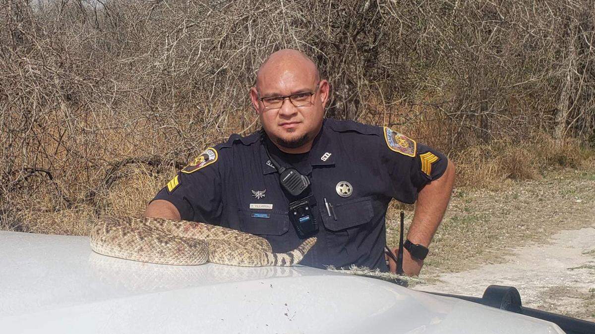 Sgt. Rick Villarreal shot and killed a rattlesnake while out on a call in rural Texas.
