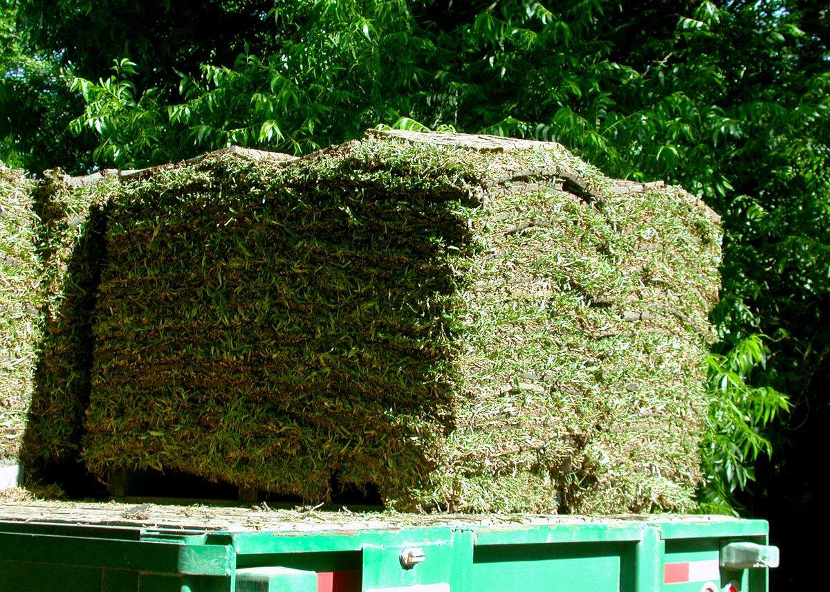It’s finally time to plant new sod.