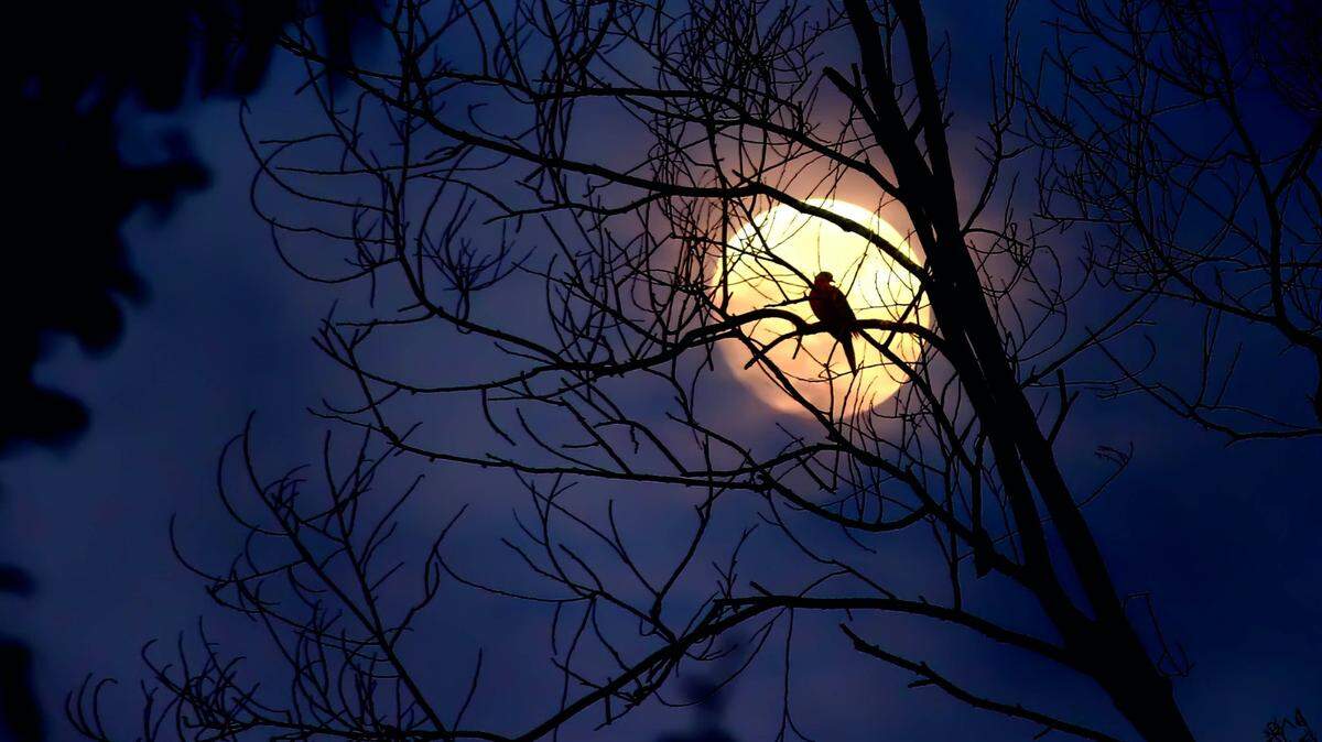 Texas is in the top 10 of most haunted states in America based on its spook score, creep score and boo score, according to a movebuddha.com survey.