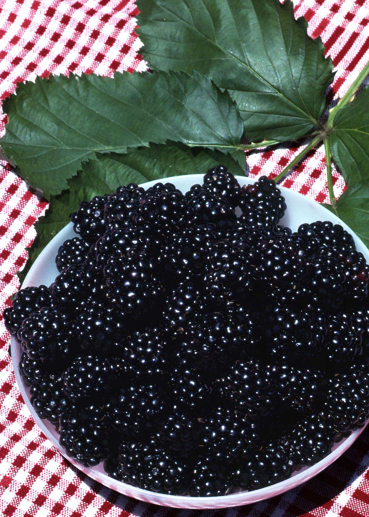 Blackberries on a tabletop.