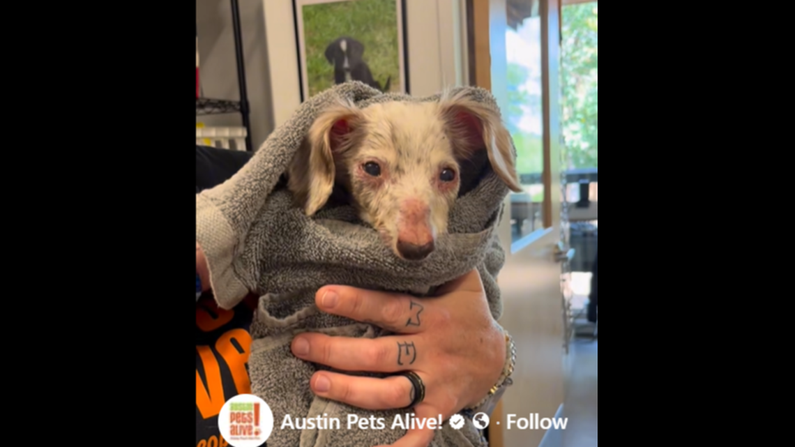 Snoots just wants to be held.