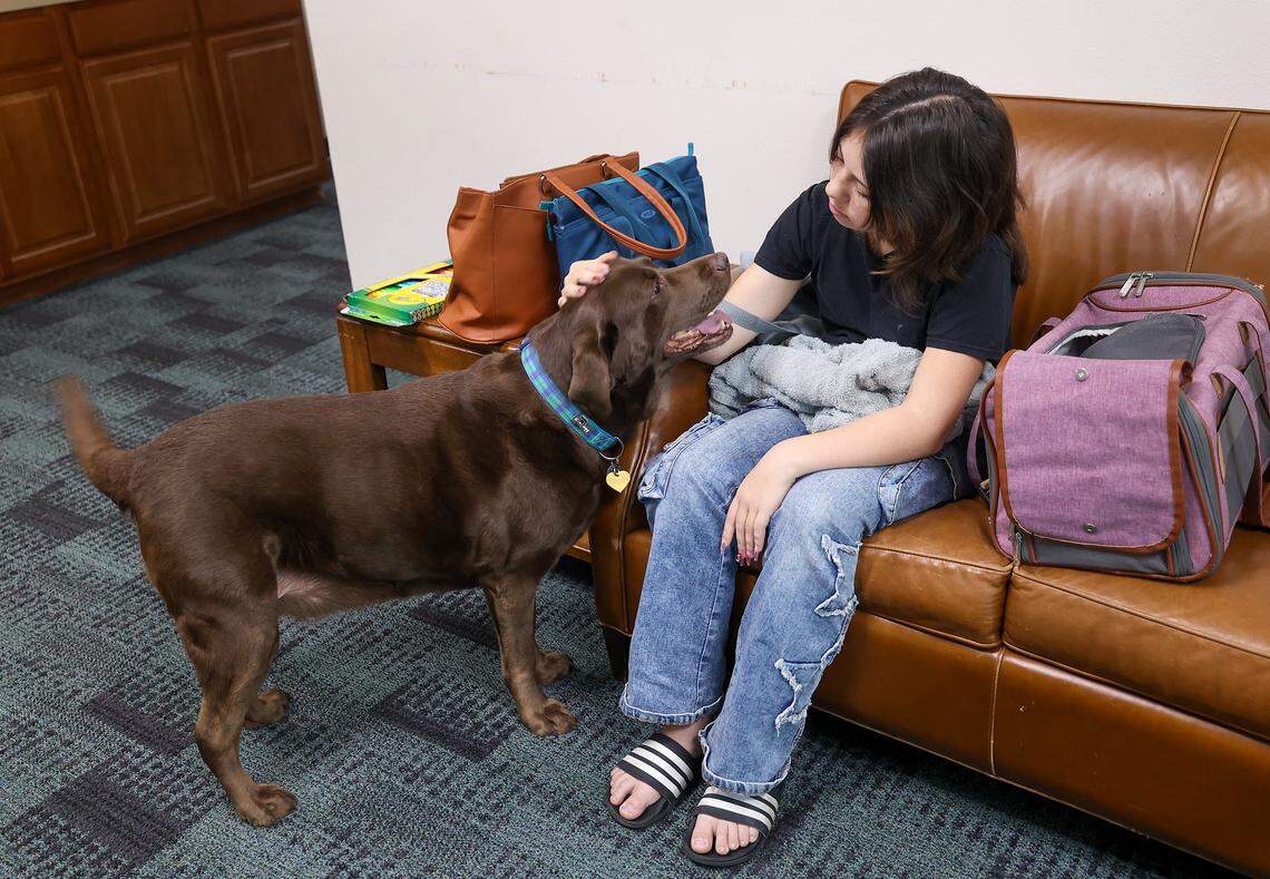 Kyoni TePaa pets the Science, Etc. mascot Birdie will visiting the organization with her mother, Angela, on Tuesday, 9, 2025, in Fort Worth. TePaa is homeschooled and looking into taking supplemental courses at Science, Etc.
