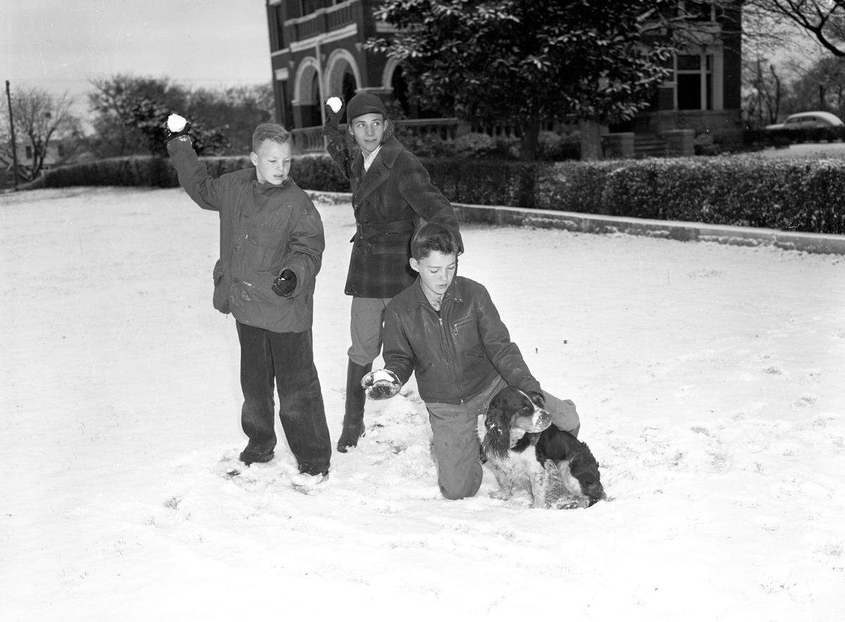 Jan. 2, 1942: “They just fooled ‘Happy,’ the Springer Spaniel, one time, urging him to ‘fetch’ a snowball. After that he balked. The boys, left to right, John Hall of Austin, Ralph Bearden, Lucerne Apartments (he came here recently with his parents from Florida), and Tommy Armstrong, son of Mr. and Mrs. A.J. Armstrong, 1402 Summit Ave.”