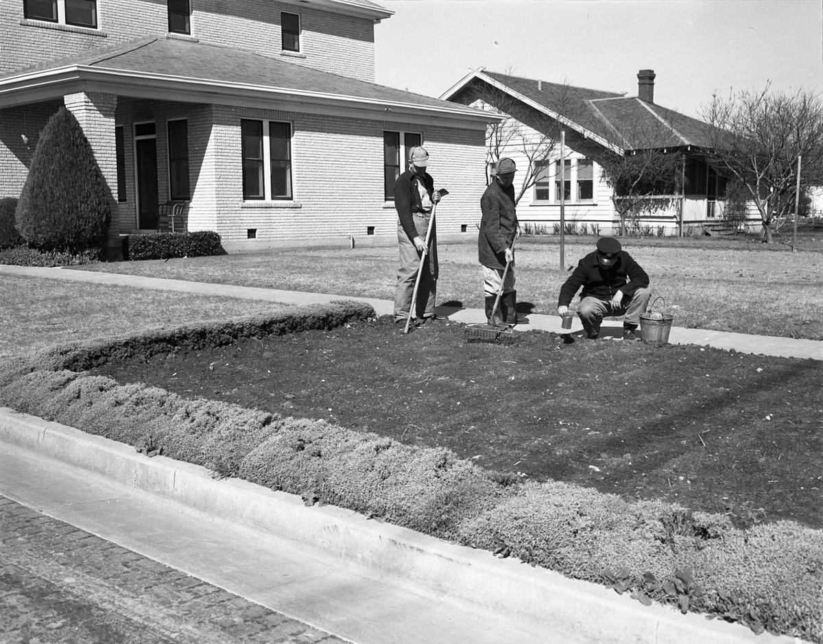 Feb. 19, 1938: Fort Worth Fire Hall at University Drive and Berry Street (No. 21), left to right, T.J. Killian, A. Floyd and C.R. Tucker, planting California poppies.