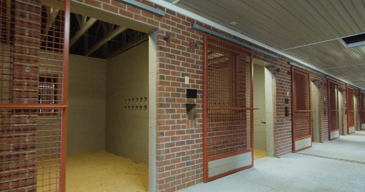 Horse barn