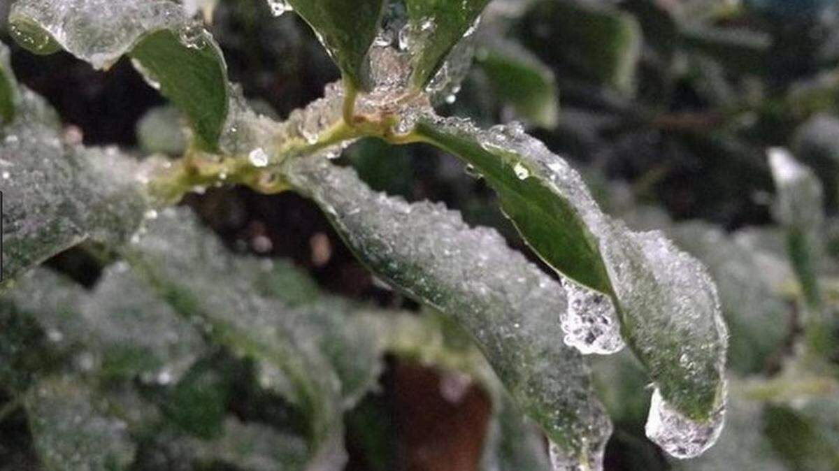 Wintry precipitation and freezing temperatures are in the forecast for North Texas Monday night through Tuesday, according to the National Weather Service office in Fort Worth.