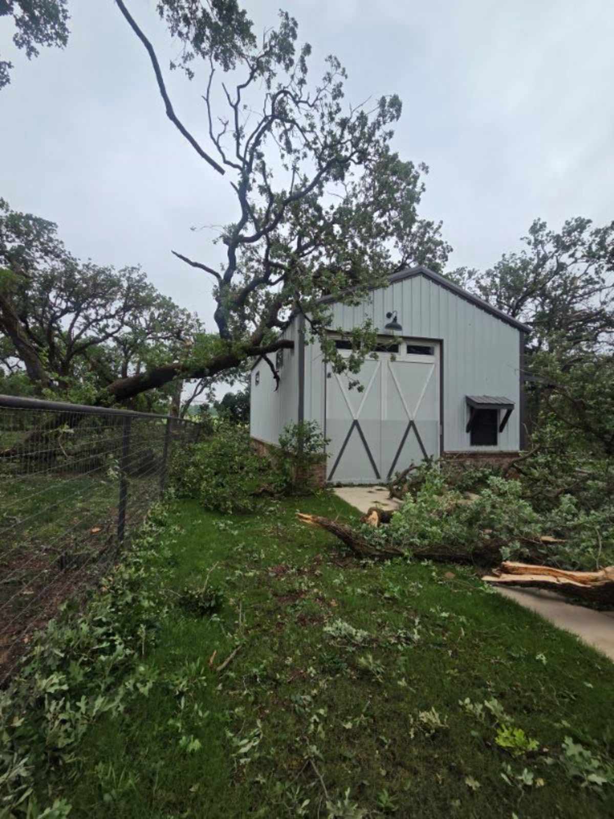 A tree fell on Jane Galvin’s RV garage in Parker County.