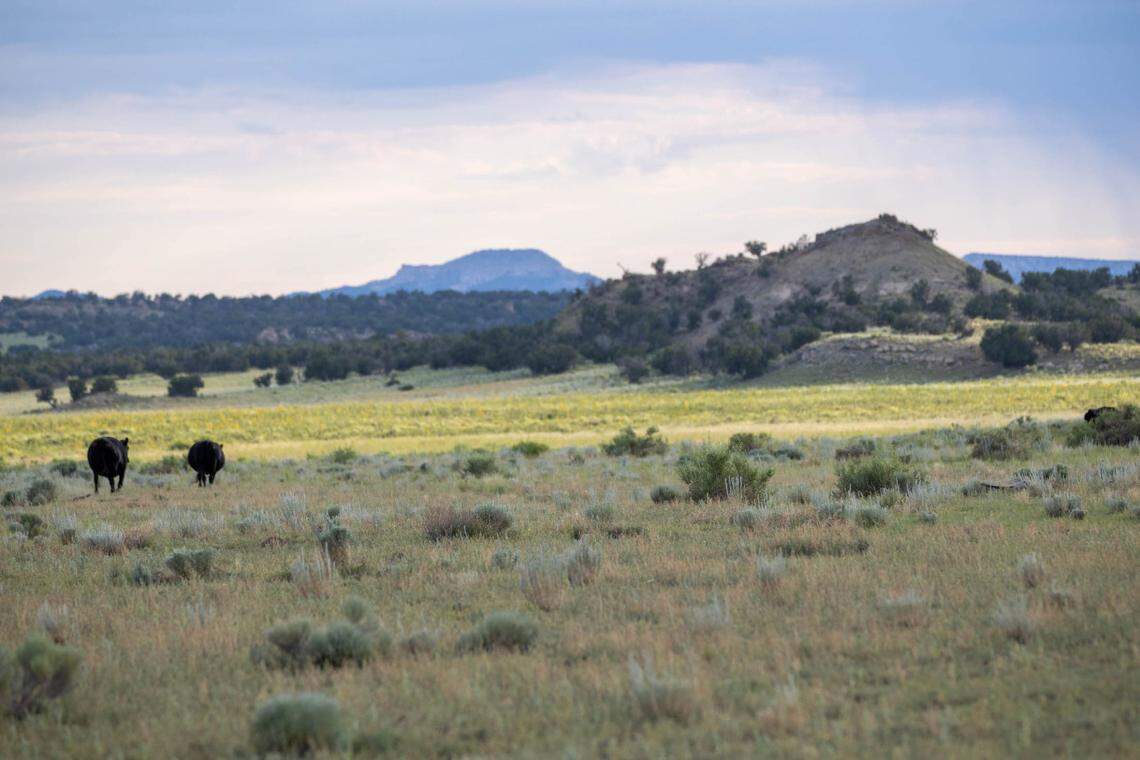 The 500,000-acre ranch in New Mexico is larger than the Texas city of Houston. The ranch has historical and archaeological sites, including Anasazi petroglyphs.