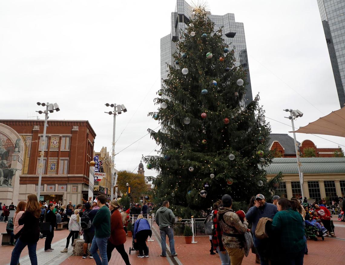 Fort Worth’s Christmas Tree sits in Sundance Square during the 2021 Fort Worth Parade of Lights in downtown Fort Worth, Texas, Sunday Nov. 21, 2021. Some people arrived for the parade as early as 2 p.m. The annual parade was back this year after last year’s virtual performance. (Special to the Star-Telegram Bob Booth)