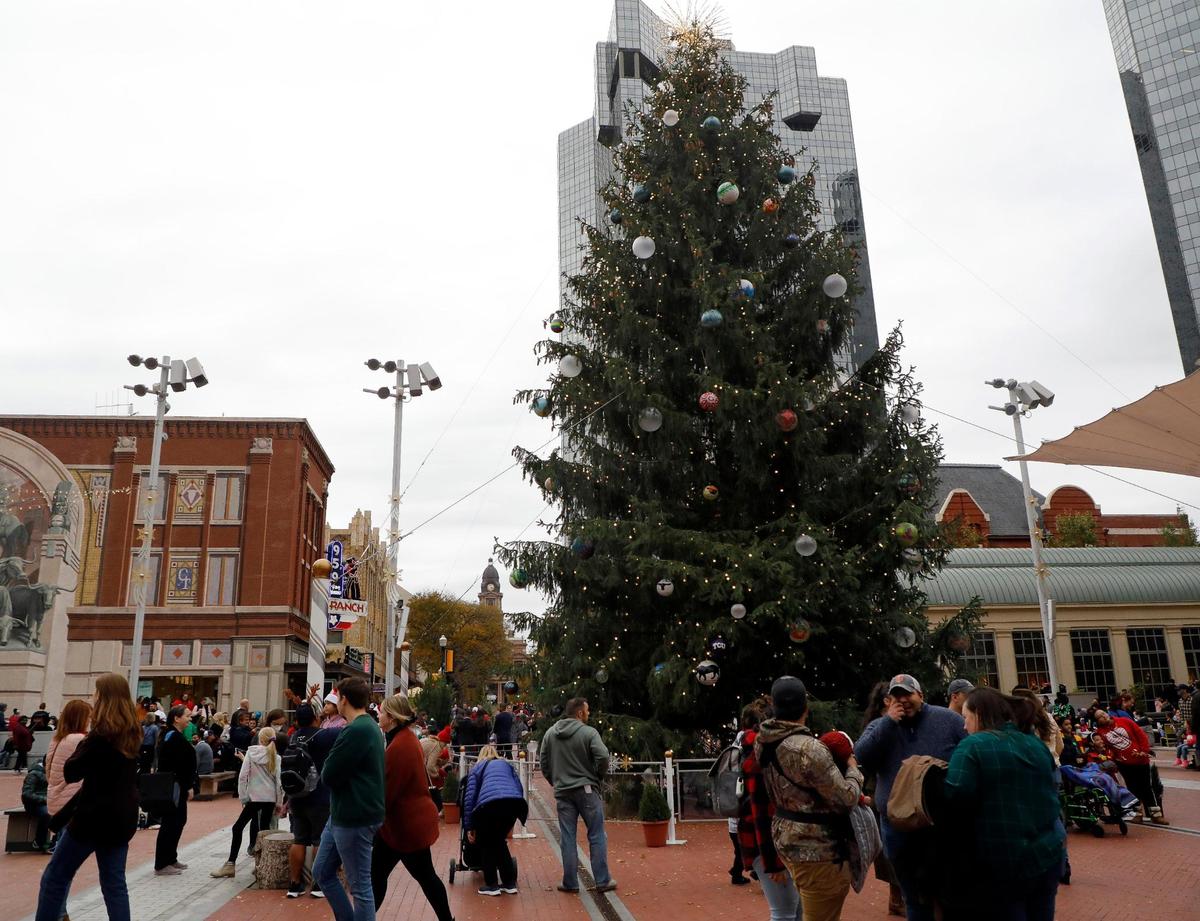 Fort Worth’s Christmas Tree sits in Sundance Square during the 2021 Fort Worth Parade of Lights in downtown Fort Worth, Texas, Sunday Nov. 21, 2021. Some people arrived for the parade as early as 2 p.m. The annual parade was back this year after last year’s virtual performance. (Special to the Star-Telegram Bob Booth)