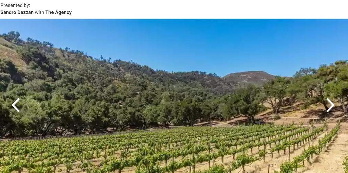 Vineyard