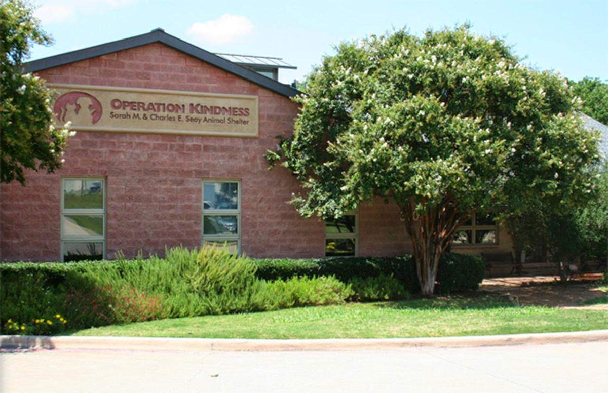 A woman’s will left between $500,000 to $760,000 to Operation Kindness, a no-kill shelter in DFW. The nonprofit said in a lawsuit the woman’s caregiver coerced her into changing the will, leaving herself the money instead.