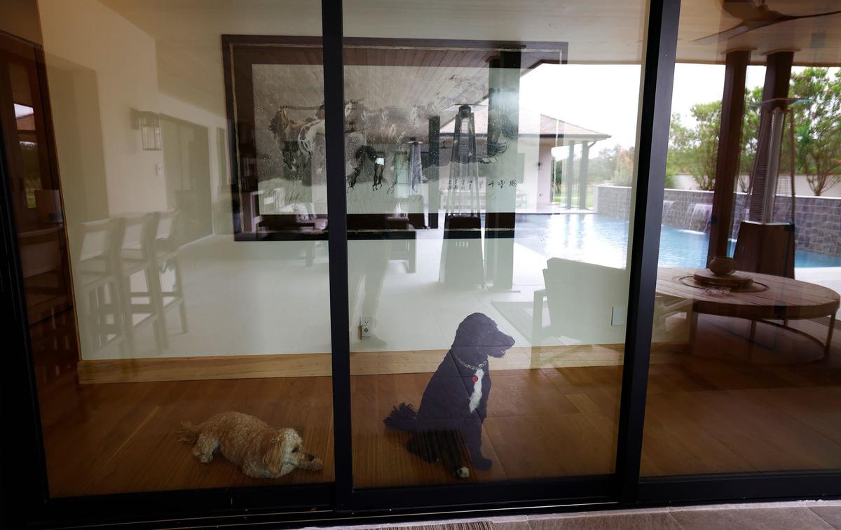 Floor to ceiling windows and doors provide access to the infinity-edge pool and backyard kitchen area of Lazy H Ranch. Lazy H Ranch is a 50-acre property in Fort Worth. The main home has 5 bedrooms and 6.5 bathrooms as well as an infinity-edge pool. There is also an eight-stall stable, two guest houses and a ranch-hand house.