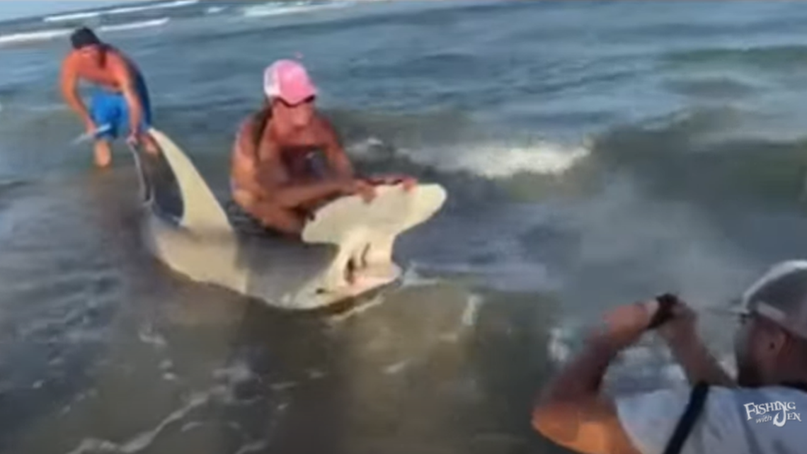 A Texas surf fisher says the 11-foot hammerhead shark she caught had other fish hooks in its mouth. The catch and release was captured on video.