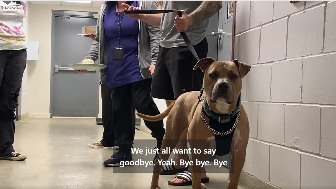 Buddy about ready to head off to his new home.