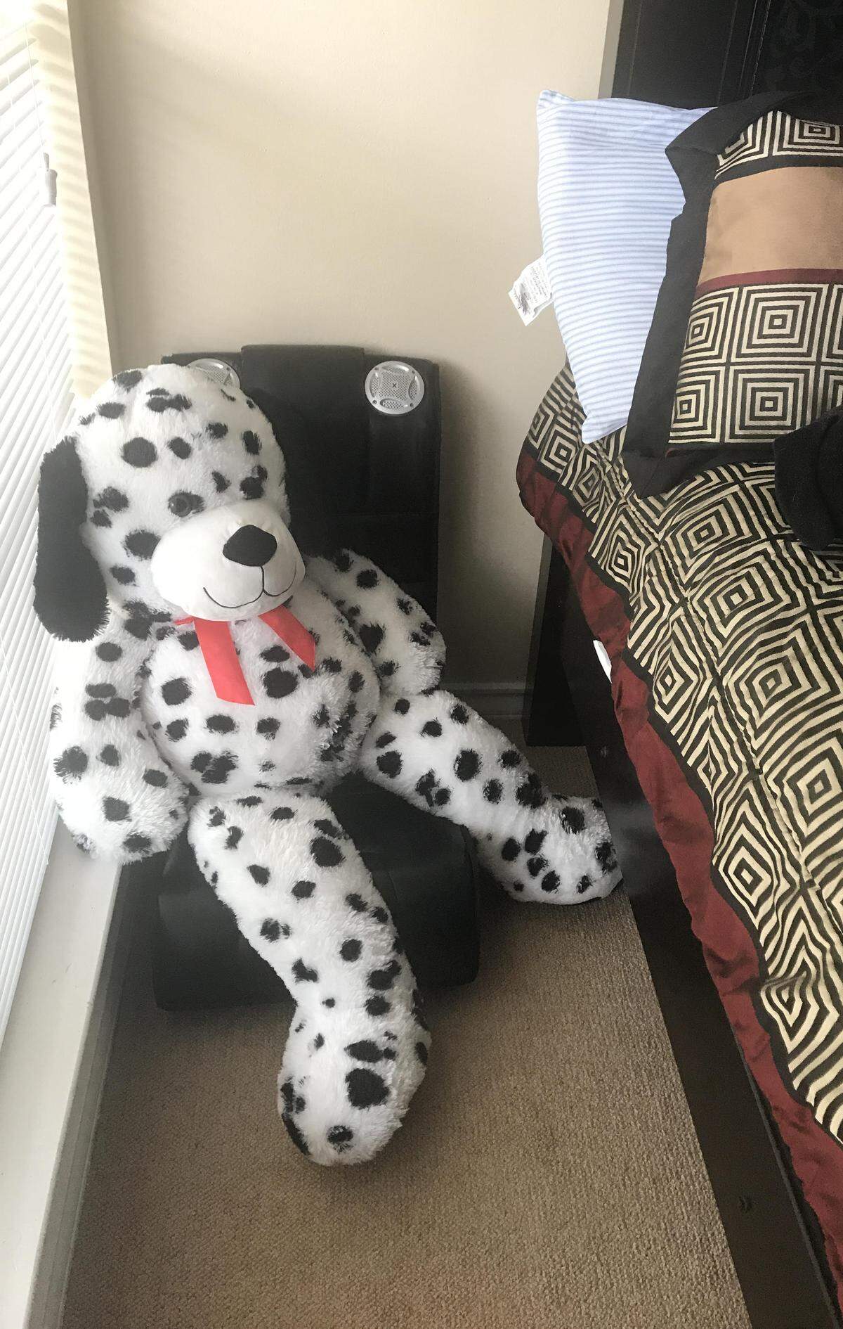 A giant stuffed dog sits in Parrish Cobb's bedroom at his childhood home in Waco.