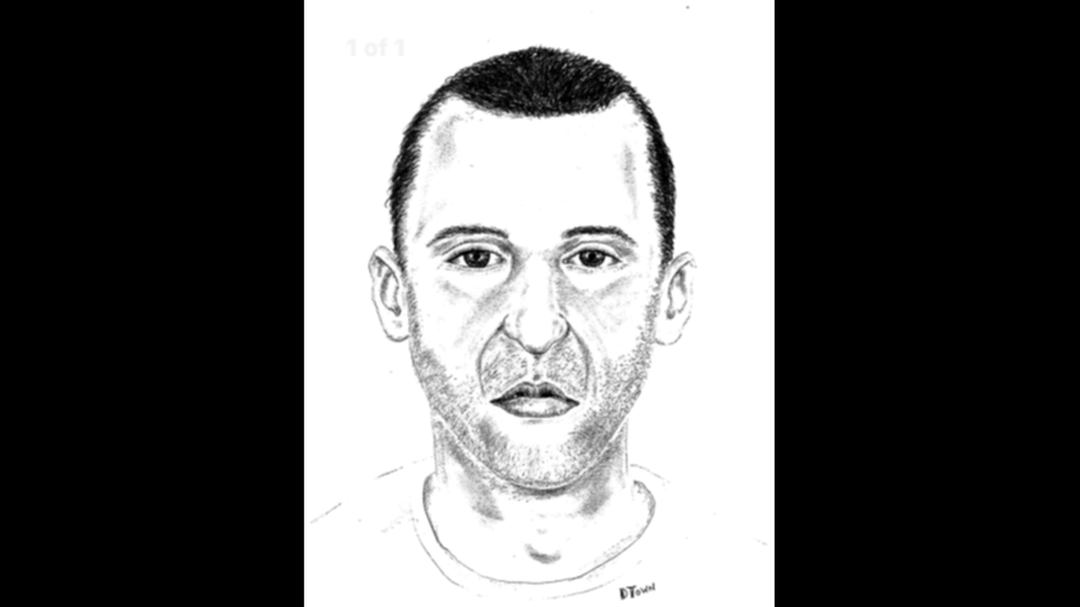 A sketch of the man Dallas police say followed a woman into her apartment and killed her on Friday has been released.