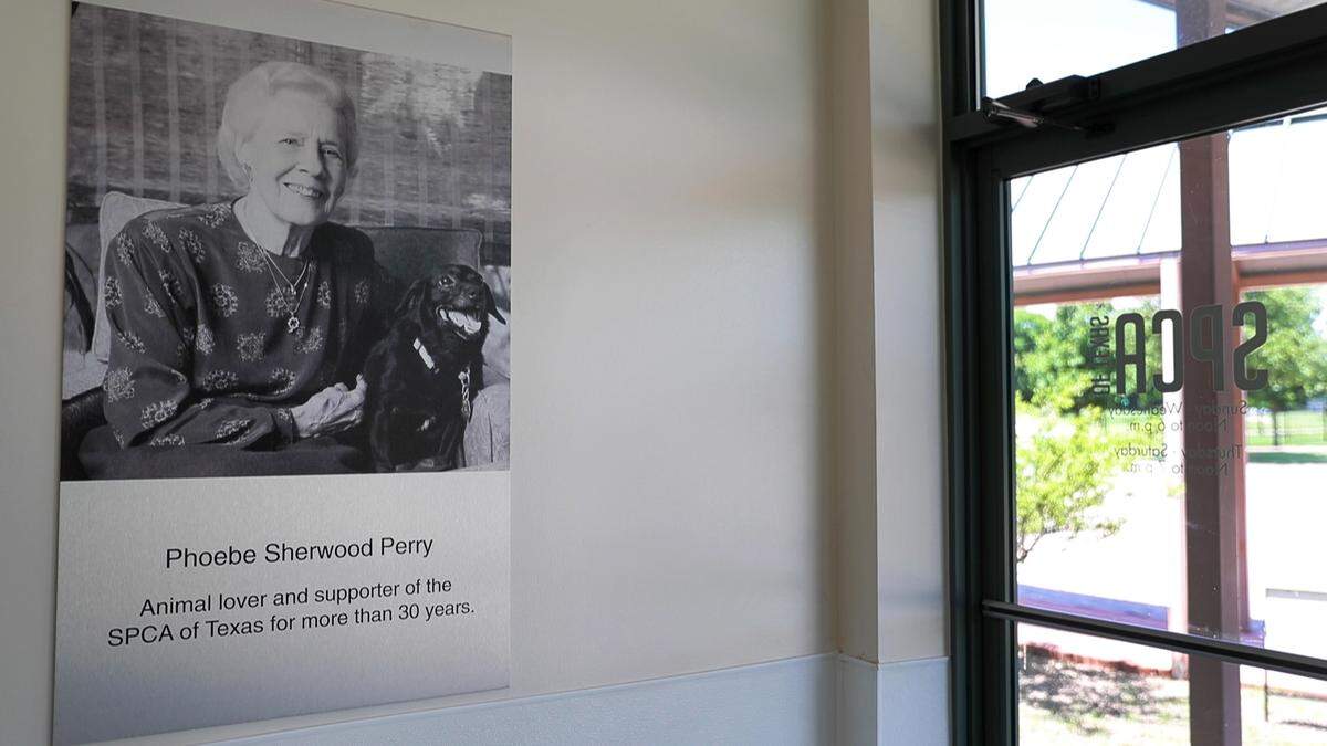 Phoebe Perry donated 30 acres of land to the SPCA of Texas in McKinney to build the Russell H. Perry Animal Care Center — named after her husband. Now, visitors at the adoption center see Phoebe Perry’s name on the building.