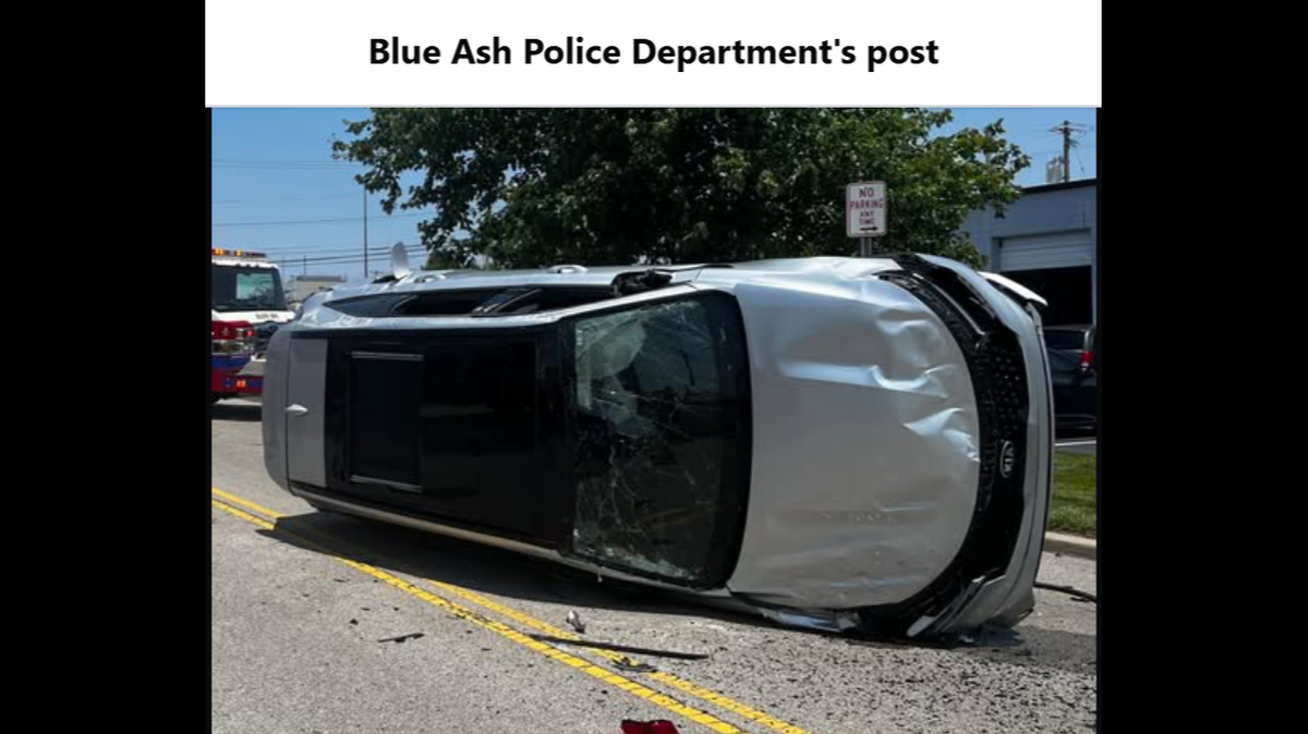 Hopefully the cicada has insurance.