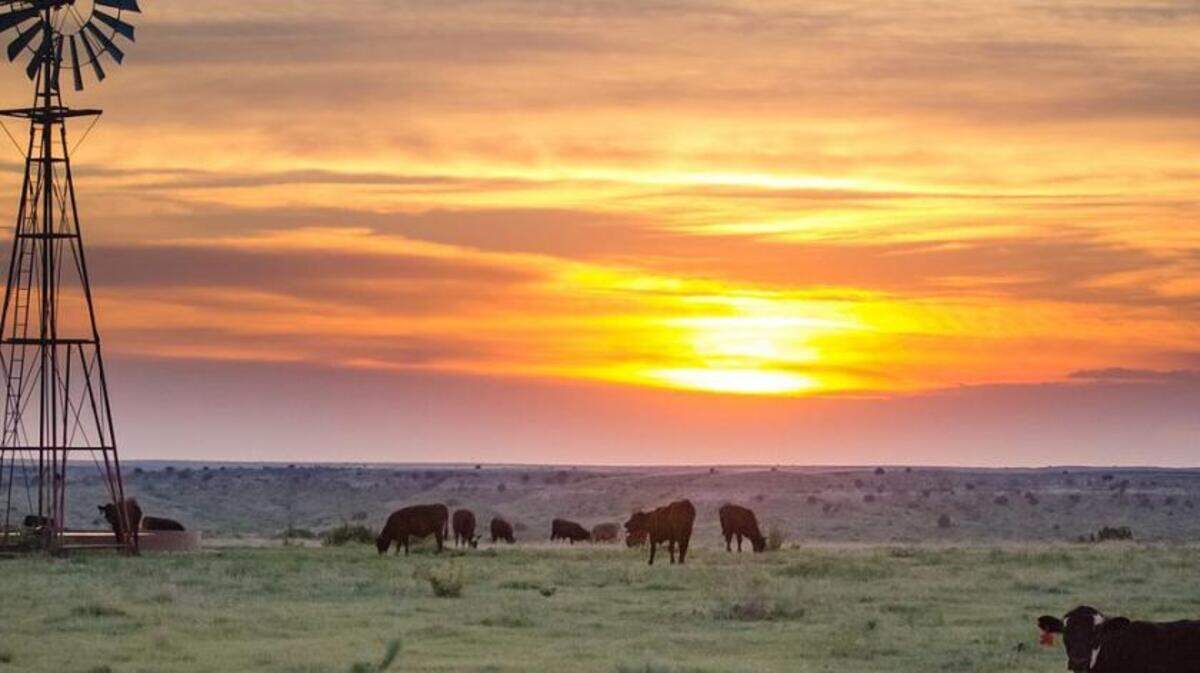 One of the last massive ranches in West Texas, the Turkey Track Ranch is home to 80,000 acres of fertile grassland and a historic battle site.
