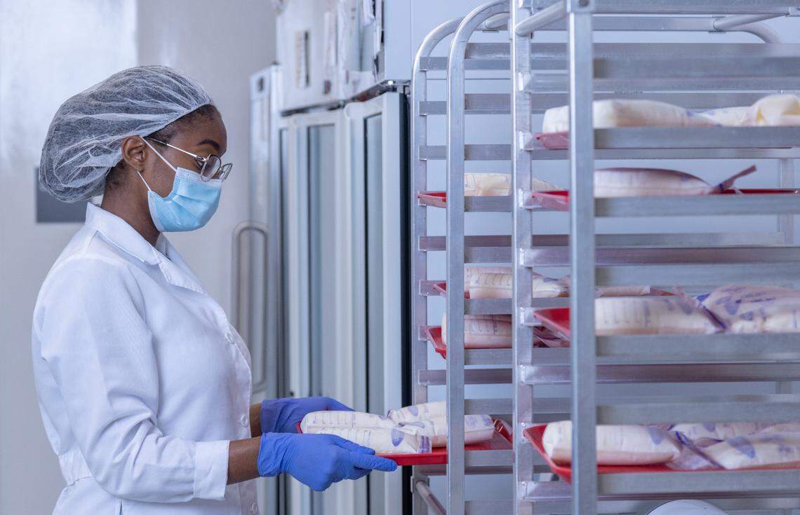 A lab technician prepares bags of frozen breast milk from donors to thaw before they’re processed.