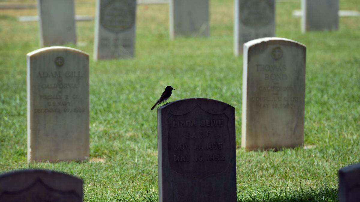 A bird sits on a gravestone at a California cemetery.