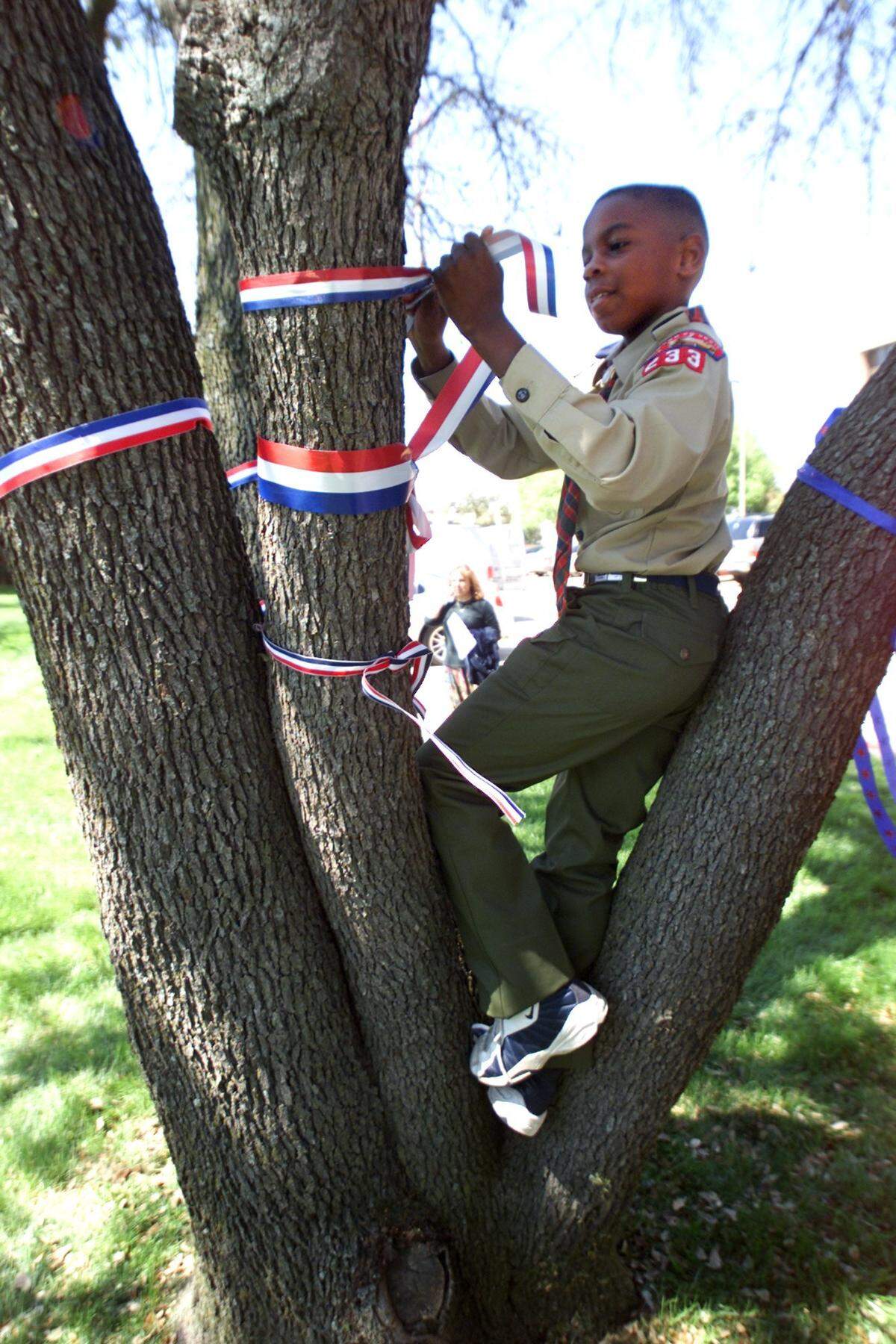 March 24, 2003: L.J. Hopkins, 9, a Webelo, was one of a few youths that started the initiative of tying patriotic ribbons to trees as a show of support for our troops at the Boy Scouts of America National Headquarters in Irving.