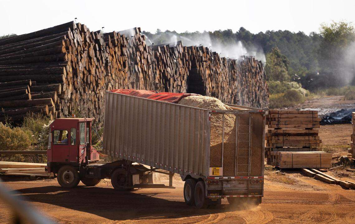 A semi-truck full of sawdust at the entrance of Ward Timber on Oct. 19, 2022, in Linden. Production at the mill would be heavily impacted if bottomland woods are flooded for the Marvin Nichols Reservoir project.