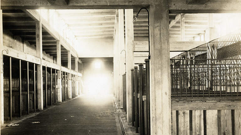 Ghosts haunt Fort Worth Stockyards at night, some say. Now you can help hunt them down.