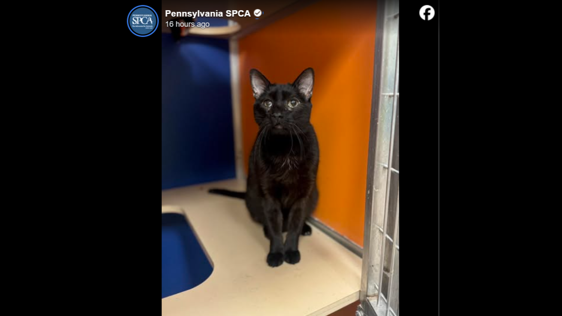 All Asher wants is love and kisses.