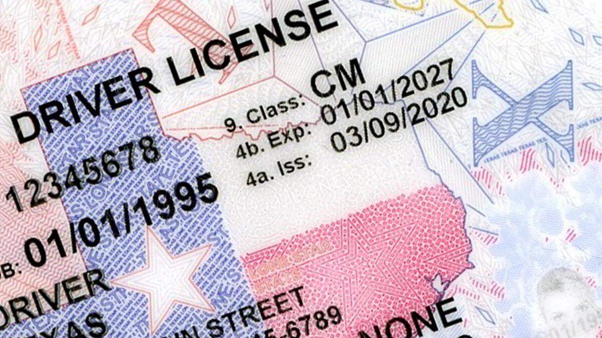 A close-up crop of a Texas driver license