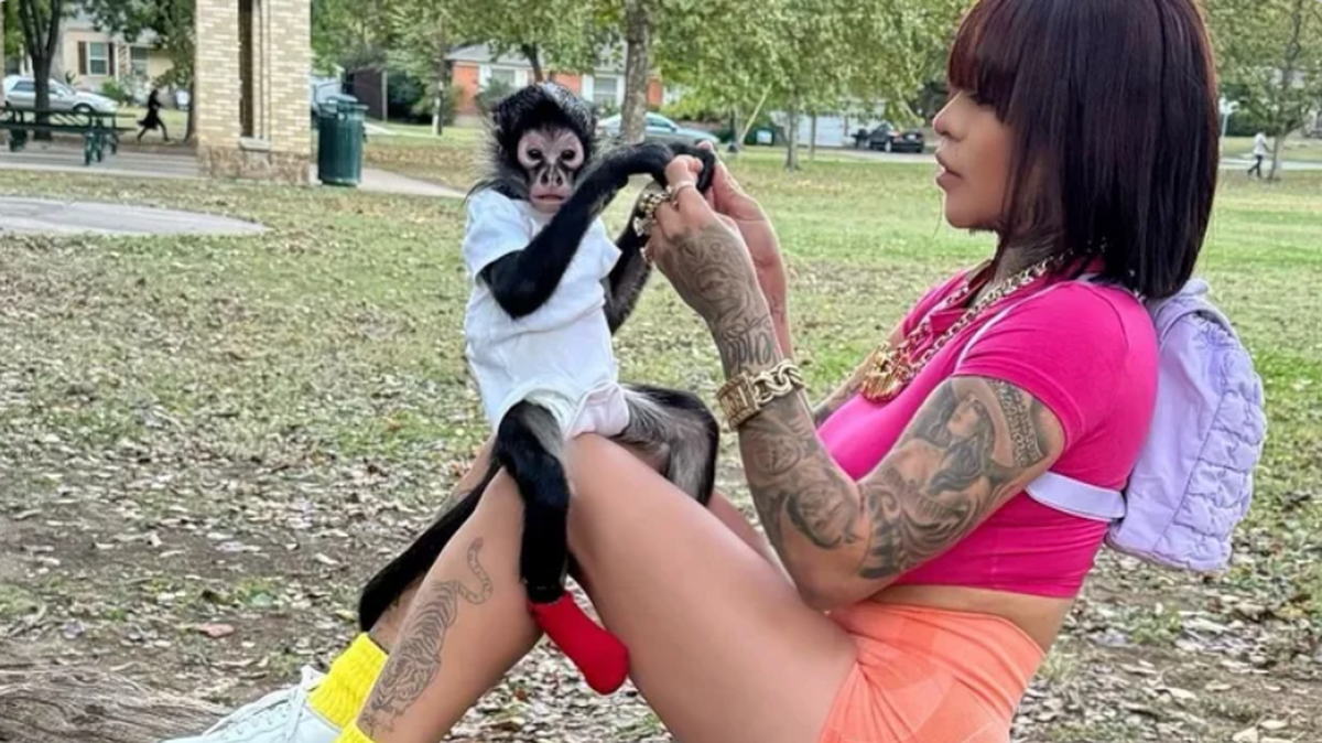 North Texas social media influencer Brandi Botello is pleading for the return of her pet spider monkey, named Jorgie Boy, after he was confiscated by police when she was accused of driving while intoxicated. Animal sanctuary Funky Monkey Ranch says the monkey has serious health problems.